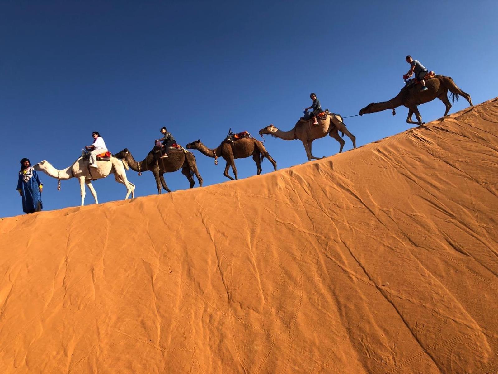 Riad Les Jardins De Merzouga Exterior foto